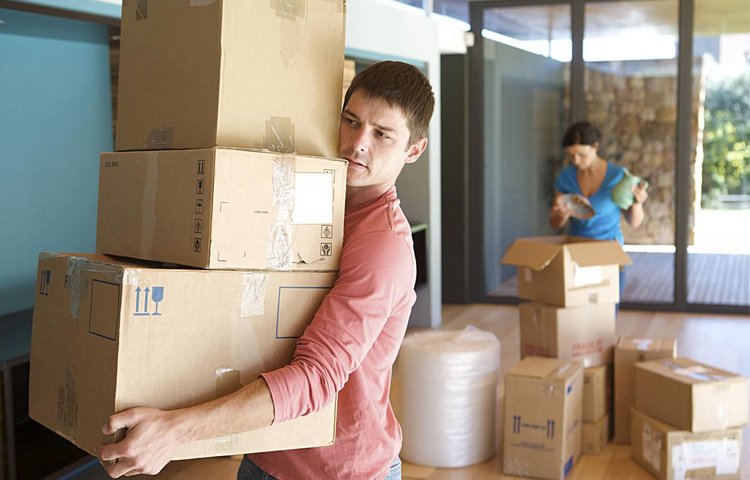 Ayaan Packers and Movers