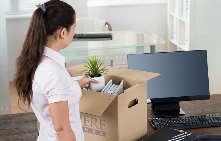 Ayaan Packers and Movers